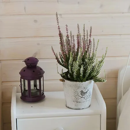 Wrzosowa Zatoka Tatil Evi Lubiatowo (Pomerania)